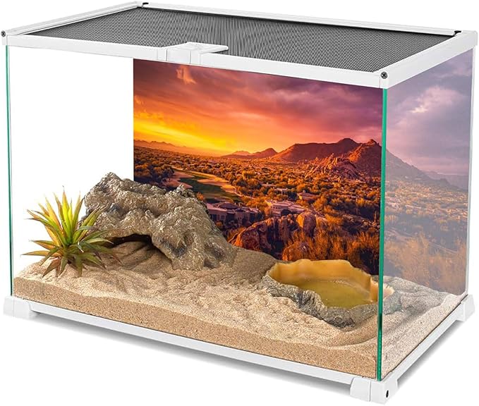 AWERT 30x12 inches Sun and Desert Terrarium Background Mountain Oasis Gobi Reptile Habitat Background Vinyl