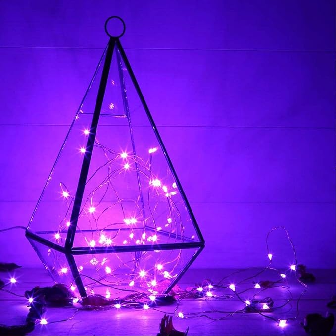 RUICHEN 20 Ft 120 LED USB Fairy String Lights with On/Off Switch, Waterproof Copper Wire Lights for Bedroom Wall Ceiling Wreath Crafts Christmas Halloween Party, Purple, 2 Pack