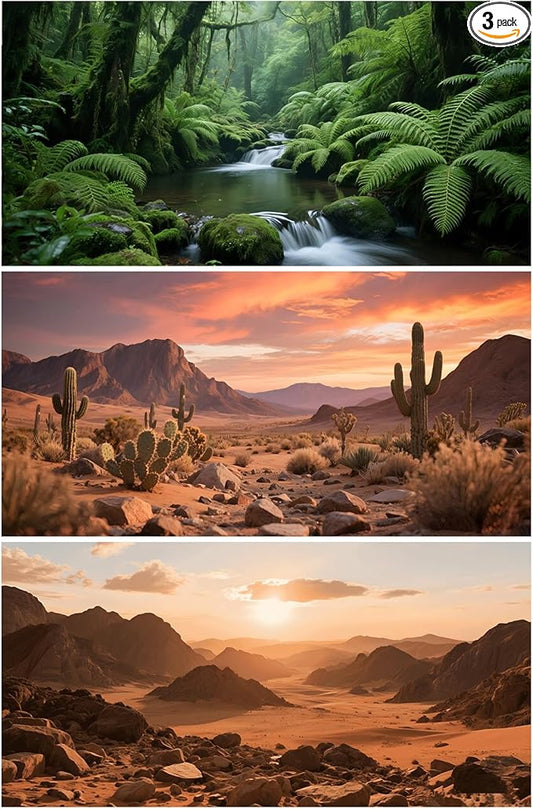 3 Pack Terrarium Background 36x18 inches Polyester Reptile Background，Gobi Sunshine Cactus Stone & Green Tree Fern Stream Terrarium Background