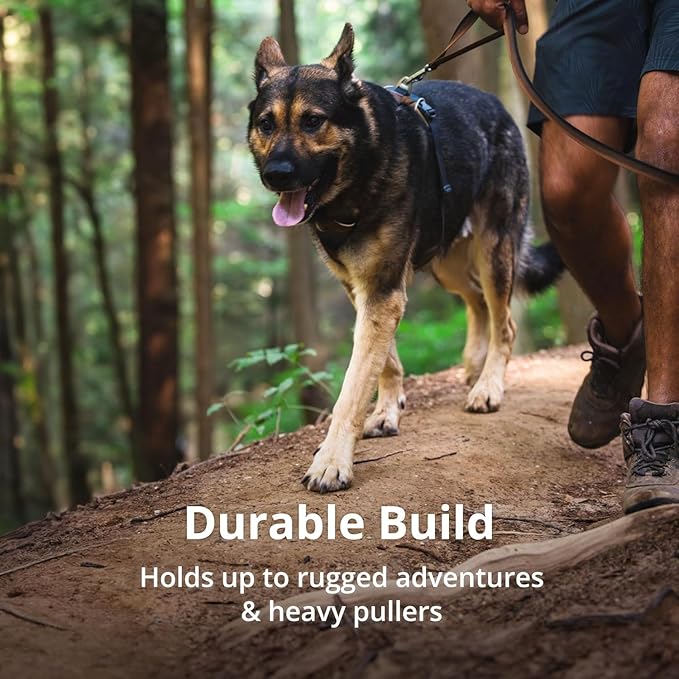 Ruffwear, Front Range Dog Harness, Reflective Soft Padded Everyday Harness with Dual Leash Clips, Adjustable and Lightweight Fit for Training or Walking for All Dogs, Spring Mountains, X-Small