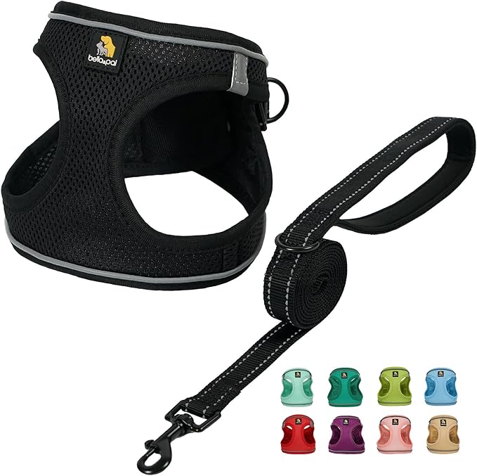 BELLA & PAL Step in Vest Harness for Small and Medium Dogs, No Pull Small Dog Harness with Leash Set, Comfortable Air Mesh Dog Vest Harness with Reflective Strip (Deep Black, L)