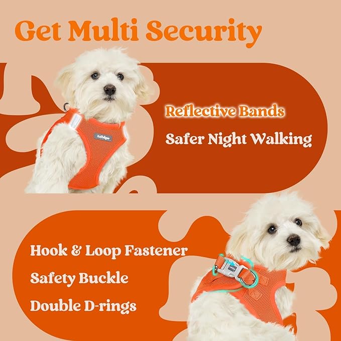 rabbitgoo Small Dog Harness, Step-in Soft Mesh Puppy Vest with Safety Buckle, Breathable Reflective Pet Harness for Extra Small Dogs, Orange XXS