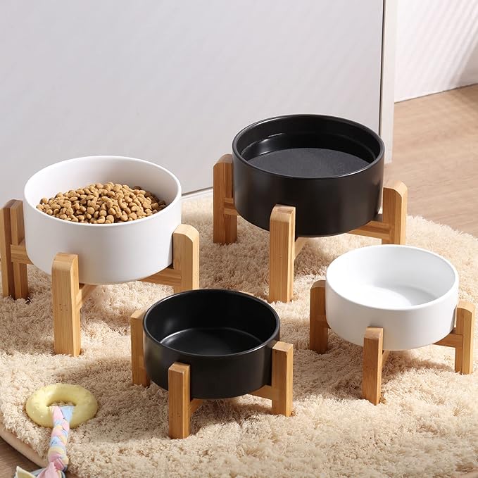 Petygooing White Elevated/Raised Ceramic Dog Bowl for Small Breeds, Dog Food Water Dish with Stand,Pet Feeding Bowl with Anti Slip Rubber for Cats and Small Dogs Puppy 13.5 OZ (5.1In / 1.7 Cups