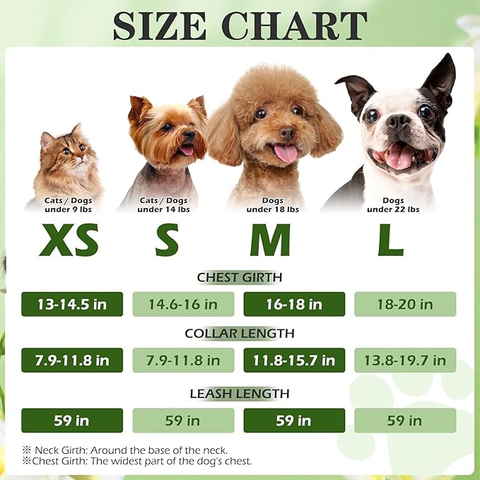 EXPAWLORER Small Dog Harness and Leash Set - Cute Puppy Harness Leash Dog Collar with AirTag Holder Silicone Case, Soft Padded Step in Pet Vest Reflective for Outdoor Walking, Pineapple XXS