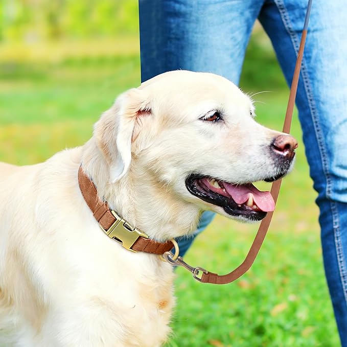 Genuine Leather Dog Collar - Adjustable Pet Collar with Quick Release Metal Buckle, Soft Skin Friendly Real Leather Collar for Small, Medium, Large Dogs (Khaki, M：Fit 12-20" Neck)
