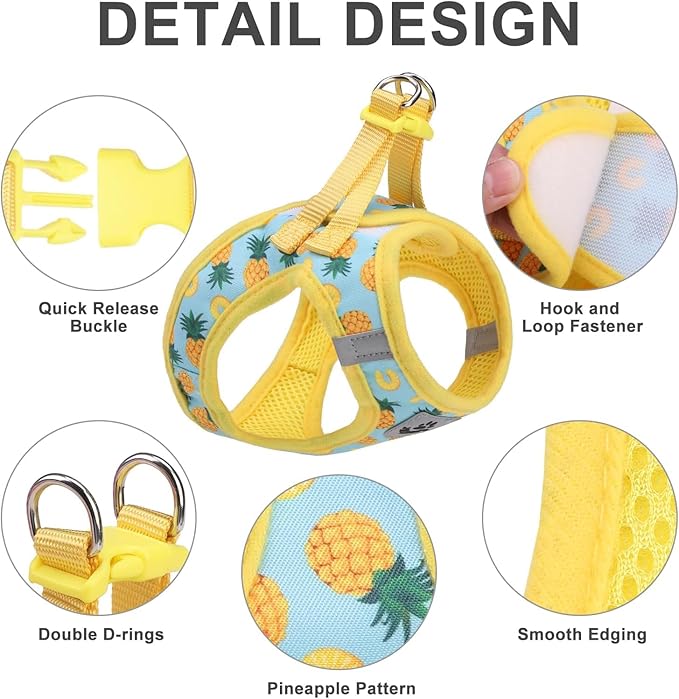 EXPAWLORER Small Dog Harness and Leash Set - Cute Puppy Harness Leash Dog Collar with AirTag Holder Silicone Case, Soft Padded Step in Pet Vest Reflective for Outdoor Walking, Pineapple XS