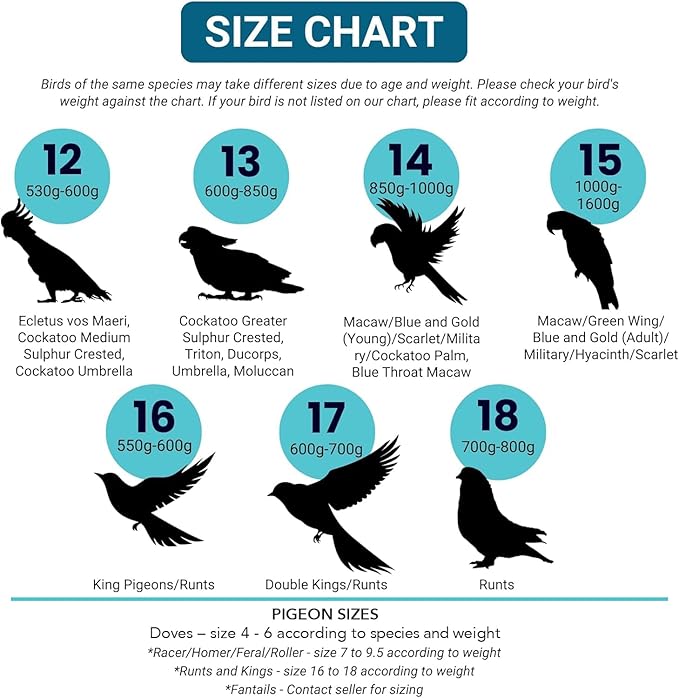 Bev's Bird Boutique Regular Flyper Adjustable Bird Diaper | Reusable, Washable Cloth | Comfort Fit for Parrot, Cockatiels, & Other Small Birds | Fashionable Avian Accessories, Pirate, Size 7