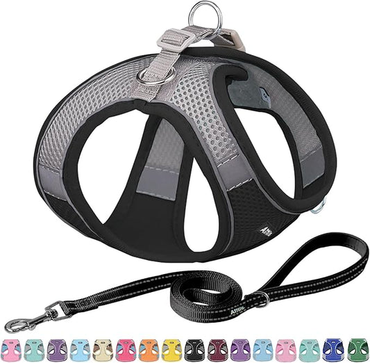 AIITLE Dog Harness, No-Pull Cat Harness with a Leash, Adjustable Reflective Dog Vest, Cat Harness Escape Proof, Outdoor Walking, Running,Training for Extra Small Dogs and House Cats Black XXXS