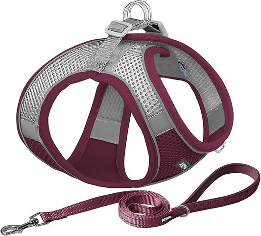 AIITLE Step in Dog Harness and Leash Set - Christmas No Pull Escape Proof Vest Harnesses with Soft Mesh and Reflective Bands, Adjustable Pet Outdoor Harnesses for Small and Medium Dogs Burgundy M