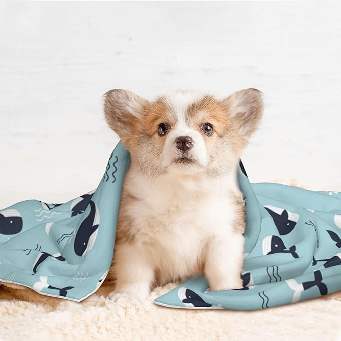 Two Sided Plush Pet Blanket for Crates Carriers Home Use, Whale in Ocean Pattern, Reversible Throw with Cozy Dot Fabric and Silky Reverse for Small Large Pets