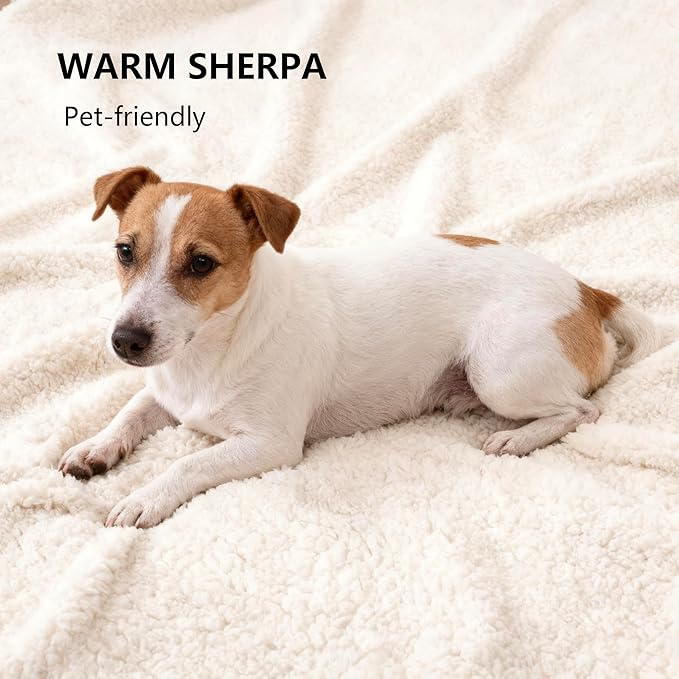 Waterproof Blanket for Couch, Leak Proof Dog Bed Sherpa Throw Blankets Reversible Pet Sofa Furniture Protector Machine Washable-50 x60,Darkgrey
