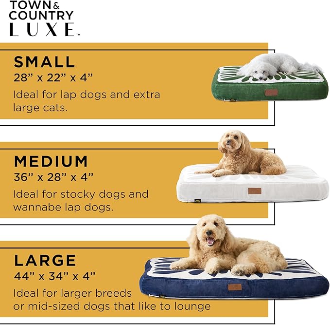 TOWN & COUNTRY LUXE CuddleTown Matisse Everwash® Pillow Pet Bed, Water Repellent Floor Pillow, Machine Washable Cover, Soft & Calming, Green, Small 28"x22"x4"