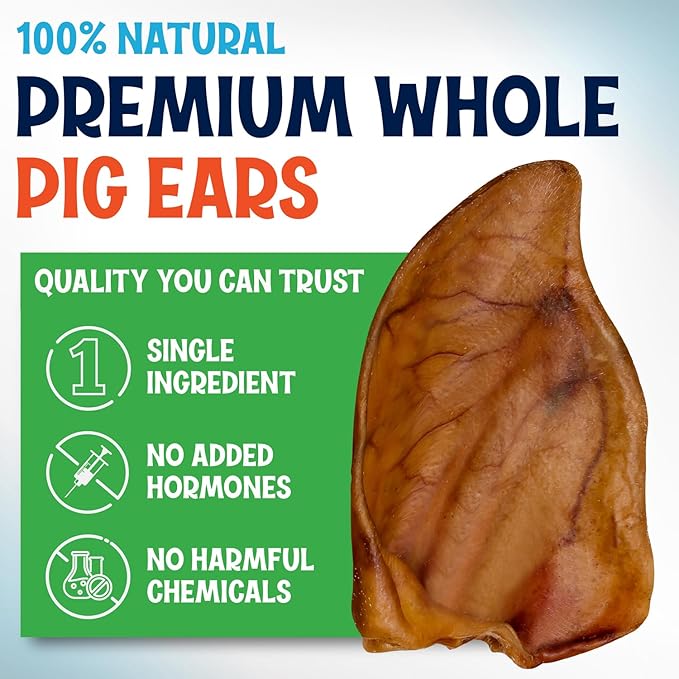Whole Pig Ears for Dogs - 15 Pack Long Lasting Dental Chews – One Ingredient Delicious All Natural Flavor Treats – Easy to Digest for Large Pets - Great for Teeth and Gums