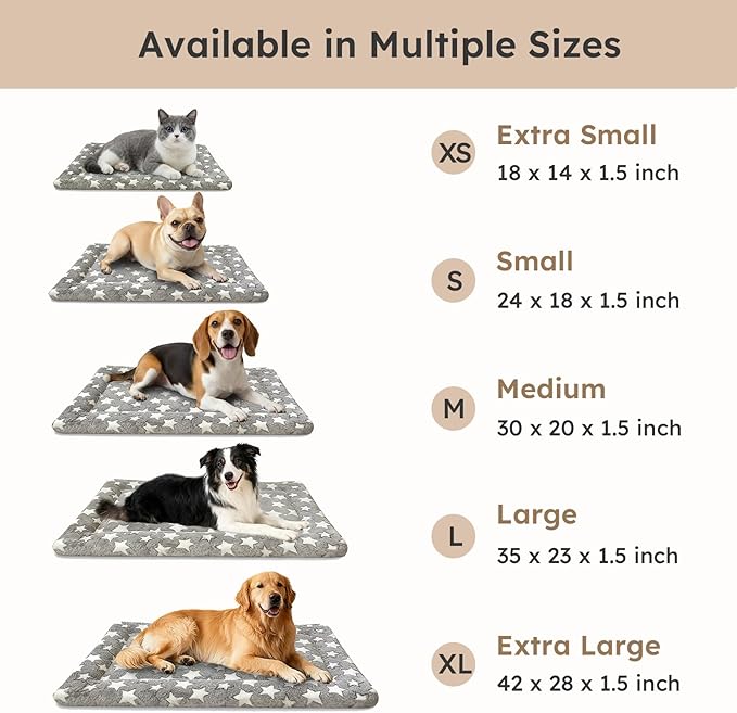 Dog Bed Mat, Dual-Sided Dog Crate Bed Mat - Ultra Soft & Machine Washable Kennel Pad for Large Dogs, All-Season Comfort Pet Bed for Crates, Travel, and Home, Star Gray, 35 x 23 Inch