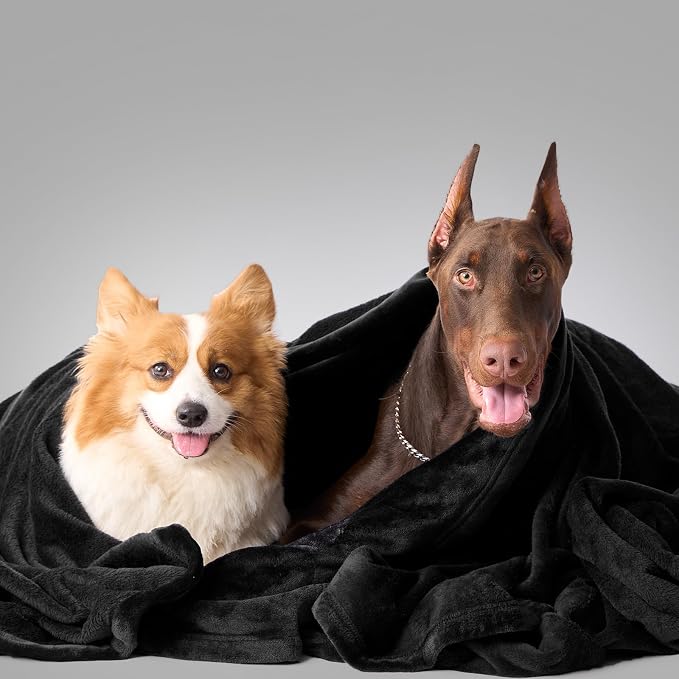Hansleep Twin Black Fleece Blanket, Soft Flannel Bed Blanket | Fuzzy Cozy Blanket 60x80 Inches, Multi-use for Bed, Sofa, Couch, Travel, Camping, All Season Warm Lightweight Cover