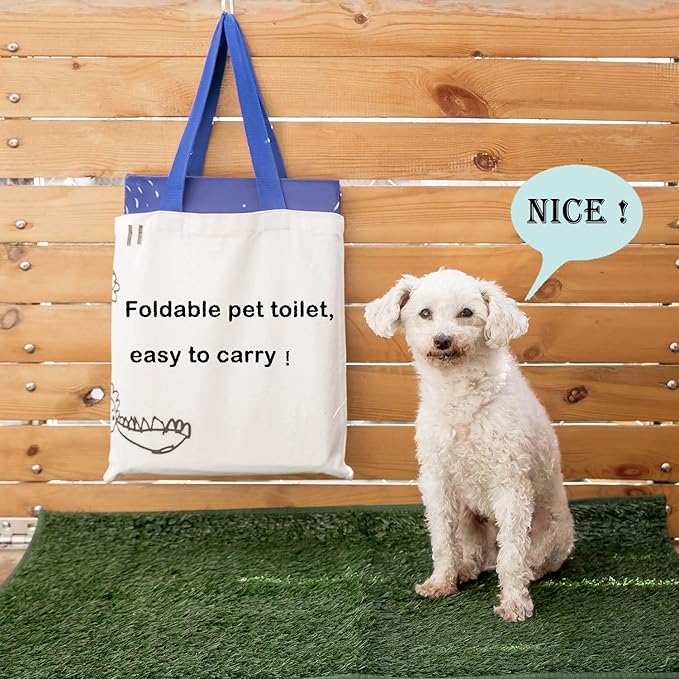 Dog Litter Box with High Walls,Pee Pad Holder Tray for Indoor Dog Potty,No Assembly,No Spill,Waterproof,Easy to Clean,Portable for Travel (Black Star, M-36''Lx23.6''Wx16''H)