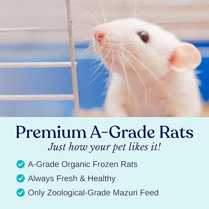 MiceDirect Frozen Pinkie Rat Food for Corn, Rat, King Snakes & Other repitles. (75 Count)