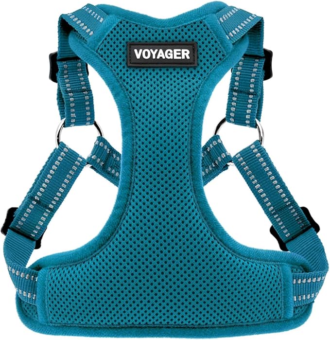 Best Pet Supplies Voyager Adjustable Step-in Flex Breathable Mesh Dog Harness for Small Medium Large Dogs (Turquoise), S