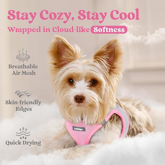 rabbitgoo Small Dog Harness, Step-in Soft Mesh Puppy Vest with Safety Buckle, Breathable Reflective Pet Harness for Small Sized Dogs, Pink & Gray M