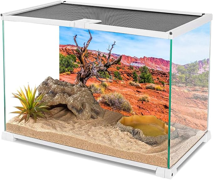 AWERT 30x12 inches Reptile Habitat Background Blue Sky Oasis Orange Desert Terrarium Background