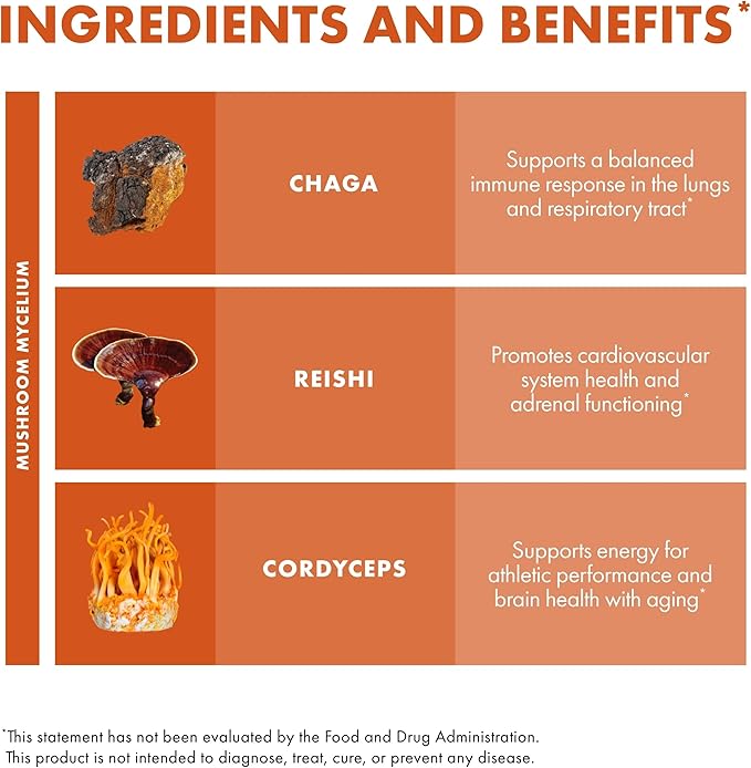 Host Defense Breathe* Capsules - Immune & Respiratory Support Mushroom Supplement - Herbal Lung Health Supplement with Chaga, Reishi & Cordyceps - 120 Capsules (60 Servings)*