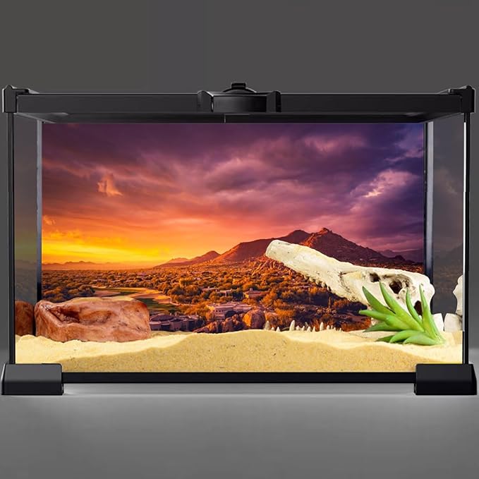AWERT 48x20 inches Sun and Desert Terrarium Background Mountain Oasis Gobi Reptile Habitat Background Vinyl