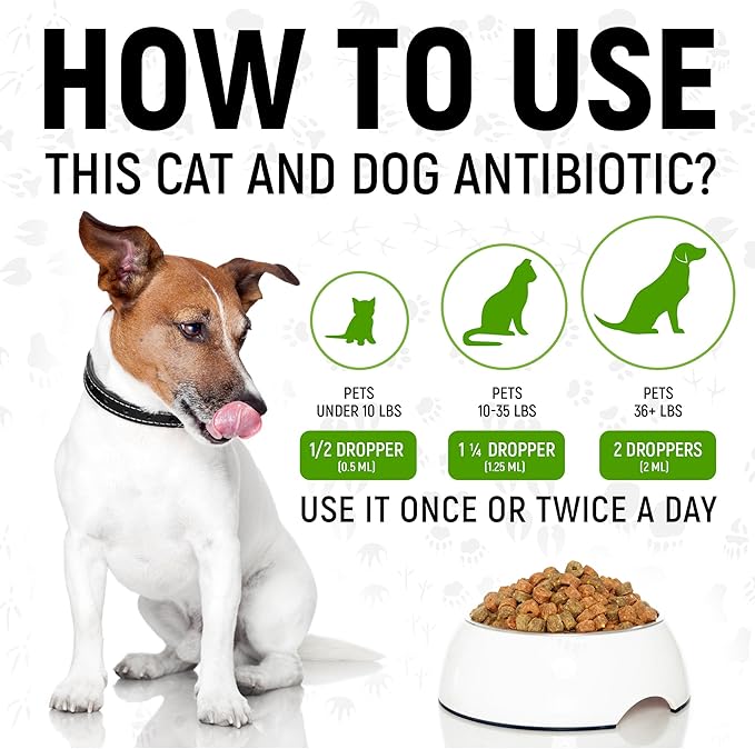 Antibiotics for Dogs | Antibiotics for Cats | Herbal Supplement for Digestion, Breathing, Urination | for Infections, Cough, Allergies | Beef Flavor & Cranberry | for All Pet Breeds | 2 Oz