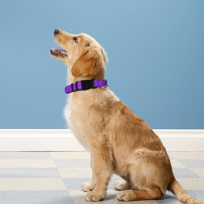 Reflective Dog Collar, Adjustable Soft Neoprene Padded Nylon Pet Collars with Buckle for Extra Large Dogs, Purple,XL