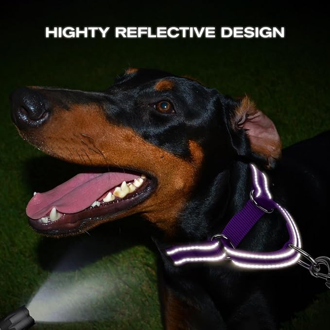 Joytale Martingale Collar for Dogs, Reflective Heavy Duty for Safety, Quick Release Buckle, Adjustable Nylon Collars for Puppy and XSmall Dogs Walking Training, Purple,XS