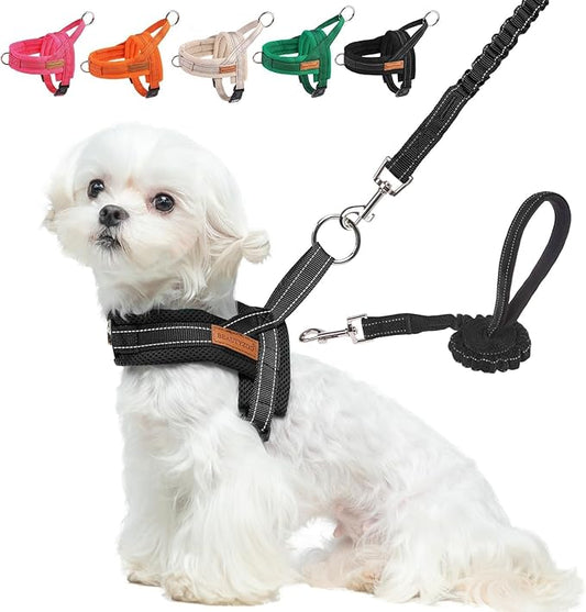 BEAUTYZOO Dog Harness for Small Dogs, No Pull Dog Harness and Leash Set, Soft Escape Proof Puppy Vest Harness with Handle, Reflective Lightweight Step in Harness for Girl Boy Dogs, Black S
