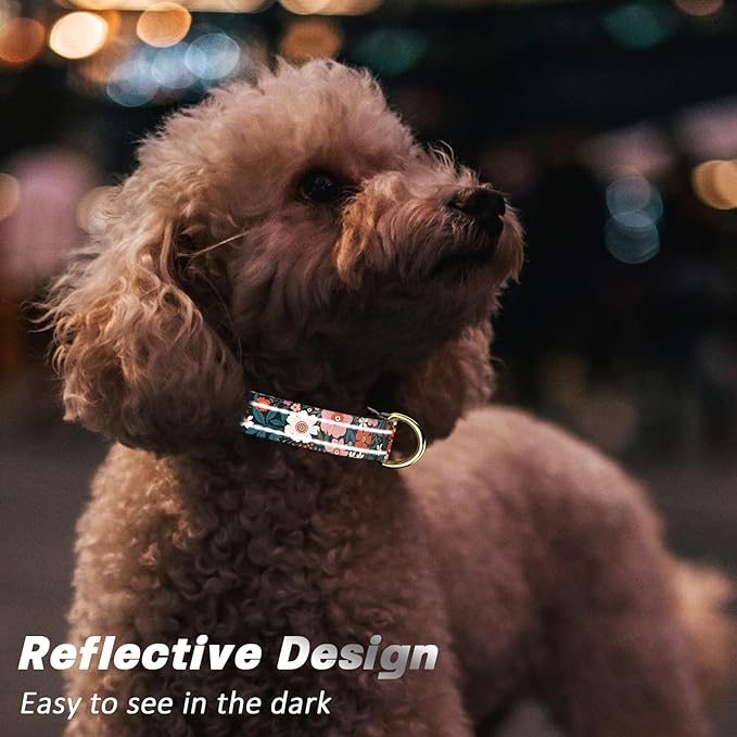 Reflective Dog Collar for Extra Small Dogs, Cute Flower Theme Adjustable Heavy-Duty Nylon Puppy Collar for Boy and Girl Female, Soft Pet Accessories with Quick Release Buckle, Elegant Floral