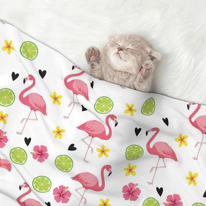 Reversible Plush Dot Pet Blanket for Dogs and Cats, Cute Pink Flamingo, Ultra Soft Two Sided Design with Warm Fuzzy Side and Smooth Side for Comfort