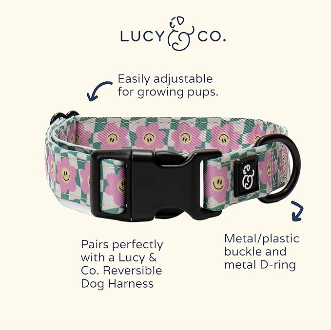 Lucy & Co. Making Rainbows, Cute Reversible Dog Harness Walking Halter - Best Designer Pet Harnesses for XS - XL Dogs - Padded Adjustable Vest for Easy Walking (Large)