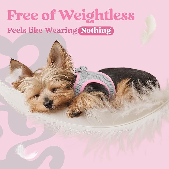 rabbitgoo Small Dog Harness, Step-in Soft Mesh Puppy Vest with Safety Buckle, Breathable Reflective Pet Harness for Small Sized Dogs, Pink & Gray XS