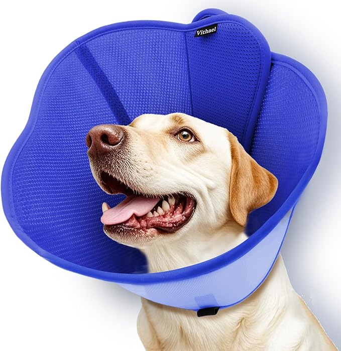 Upgraded Dog Cone Collar for Large Medium Dogs, Soft Dog Cone with Double-Layer Design, Adjustable Pet Recovery Collar for Dogs After Surgery, Elizabethan Collar (L, Blue)