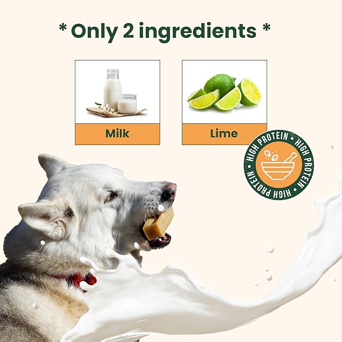 Authentic Himalayan Yak Cheese for Dogs - XLarge (Pack of 6) - Sourced from Pristine Himalayan Foothill, Rawhide-Free, NO preservatives