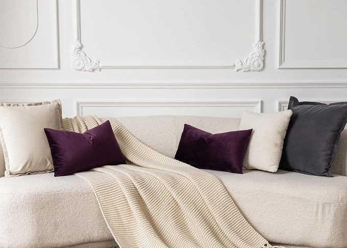 16x24 Velvet Throw Pillow Cover Set of 2 for Couch Bed Sofa,Eggplant Purple | Decorative Soft Pillow Covers with Invisible Zipper for Couch Sofa Bed Living Room Bedroom Home Decor