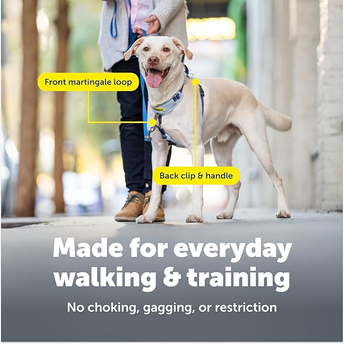 PetSafe Easy Walk Comfort No-Pull Dog Harness - Better Walk Training Harness - Full Body Padded Design - Durable Fabric - 5 Point Adjustable Fit - Everyday Leash Training - Green - Small/Medium
