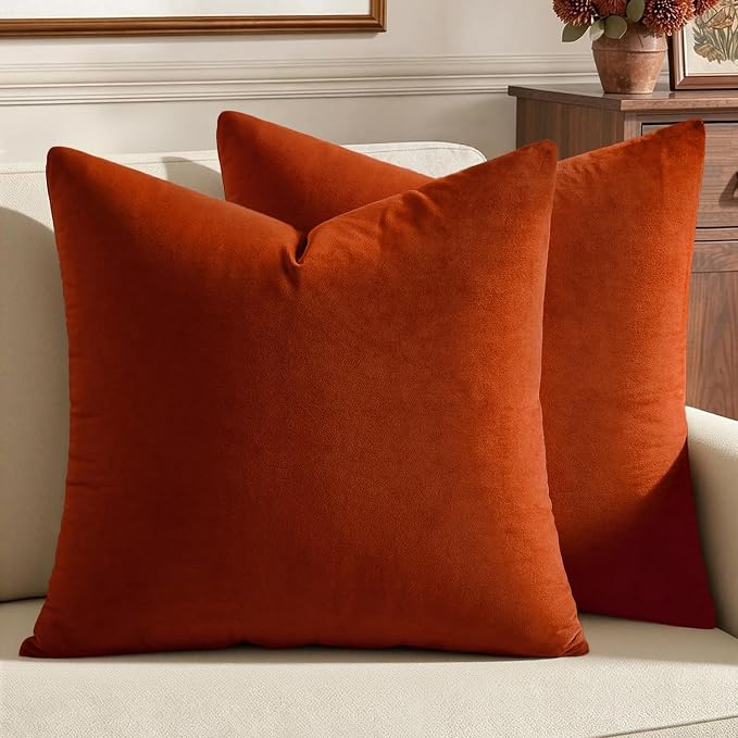 MIULEE 24x24 Inch Pack of 2 Euro Fall Velvet Pillow Covers Burnt Orange | Soft Solid Decorative Euro Sham, Modern Luxury Home Decor, for King Bed Sofa Couch Bedroom Livingroom