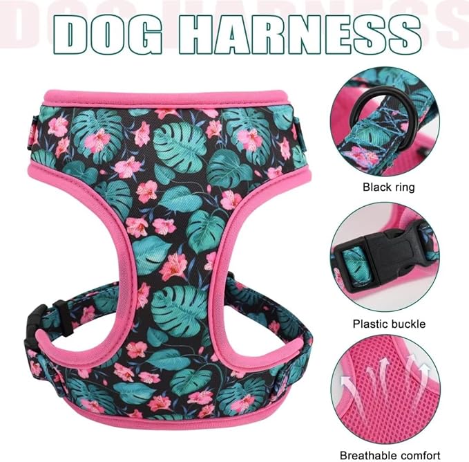 Beirui Cute Girl Dog Collars, Harnesses & Leashes Set - Adjustable Dog Collar and Leash Set with Flower - Soft Mesh Dog Vest Harness for Puppies Small Medium Dogs (Green,XS)