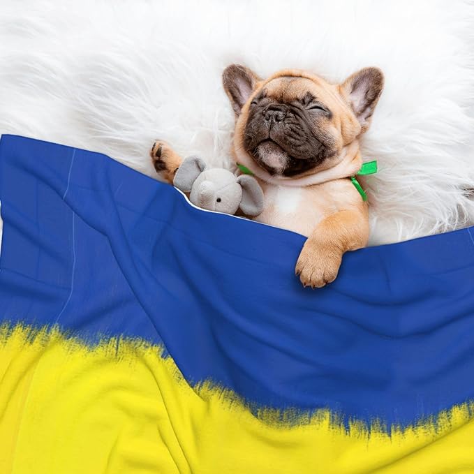 Two Sided Plush Pet Blanket for Crates Carriers Home Use, Abstract Artistic Ukrainian Flag, Reversible Throw with Cozy Dot Fabric and Silky Reverse for Small Large Pets