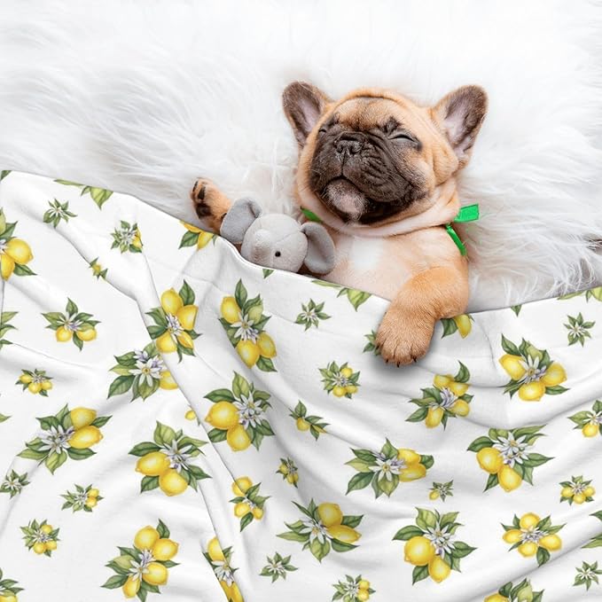 Dog and Cat Blanket in One, Yellow Lemons Trees With Green Leaves And White Flower Summer Plant, Double Sided Plush Throw with Raised Dot Pattern on One Side and Flat Velvet on Other for Variety
