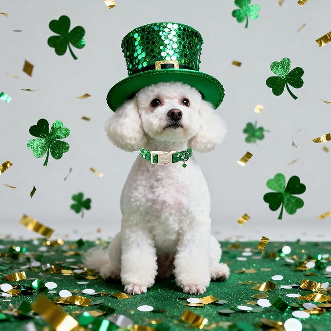 St. Patrick's Day Dog Collar for Medium Dogs - Bold Green Lucky Clover Dog Collars, Cute Irish Party Shamrock Puppy Collar, Lightweight Adjustable St. Patricks Day Pet Collars M