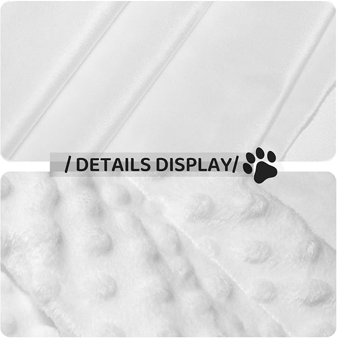 Double Sided Plush Pet Blanket with Cozy Dot Texture, Halloween Witchcraft Witch Pumpkin Spider Web Bat Raven Magic Board Spirit Skull Skeleton Vintage Black, Reversible for Dogs Cats on Couches Beds