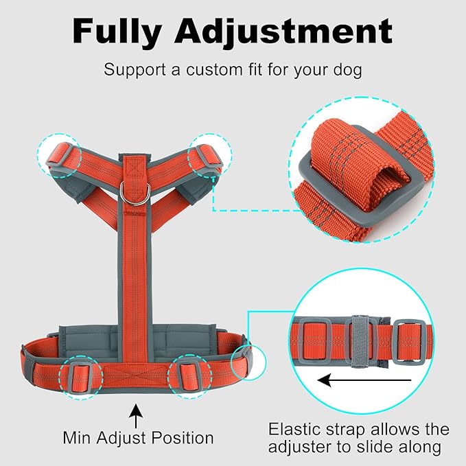 Plutus Pet No Pull Dog Harness, Adjustable Nylon Harness with Soft Padding, Reflective and Heavy Duty Dog Harness for Small, Medium, Large Dogs(Orange, XL)
