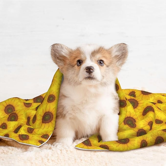 Dog and Cat Blanket in One, Beautiful Sunrise Sunflower Art, Double Sided Plush Throw with Raised Dot Pattern on One Side and Flat Velvet on Other for Variety
