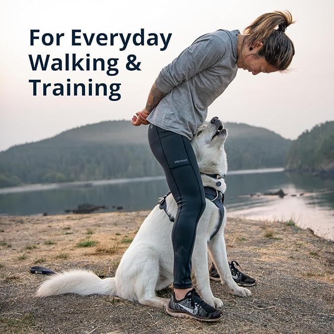 Ruffwear, Front Range Dog Harness, Reflective Soft Padded Everyday Harness with Dual Leash Clips, Adjustable and Lightweight Fit for Training or Walking for All Dogs, River Rock Green, XX-Small