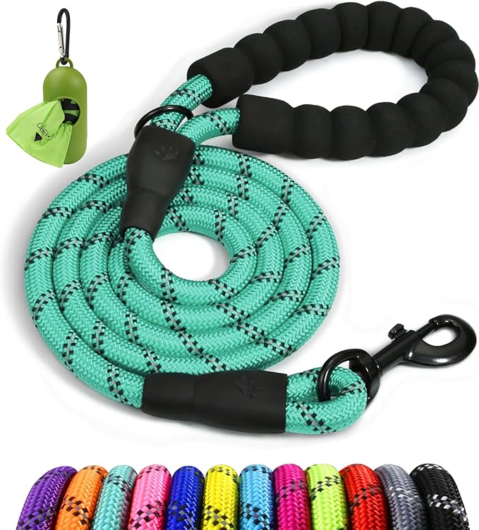 Taglory Rope Dog Leash 4 FT with Comfortable Padded Handle, Highly Reflective Threads Leash and Anti-Tangle Clip for Walking Small Dogs, 3/8 inch, Turquoise