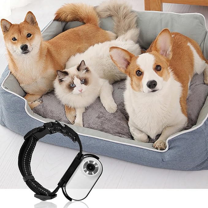 HD Cat Camera Collar with Video Recording, Cat Collar Camera, Adjustable Magnetic Cat Sport Camera Body Camera for Pet Supplies, for Outdoor, Indoor (White)