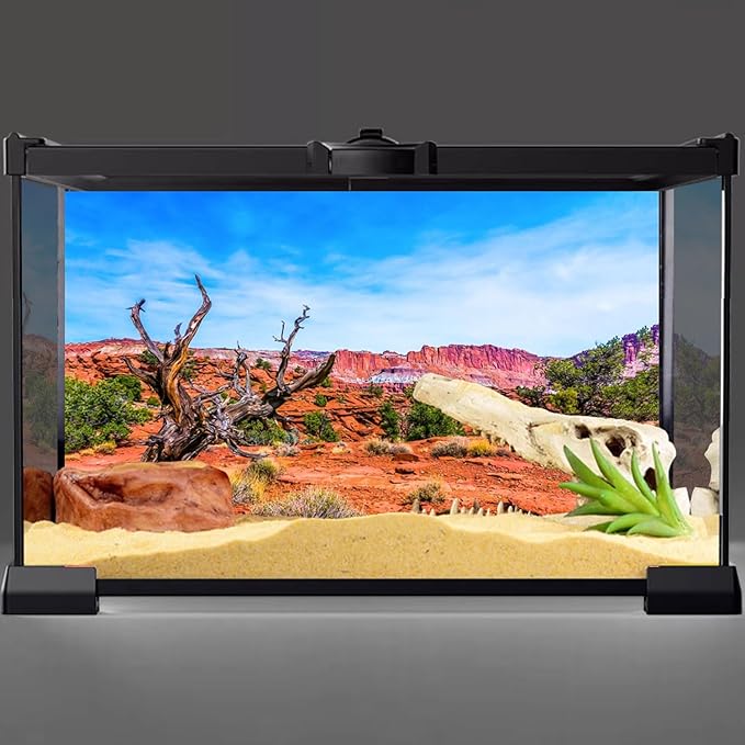 AWERT 30x12 inches Reptile Habitat Background Blue Sky Oasis Orange Desert Terrarium Background